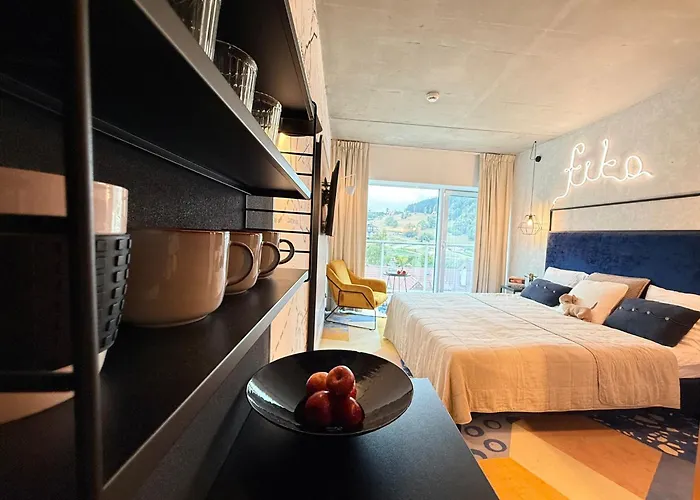 Apartman Fika Czarna Gora *