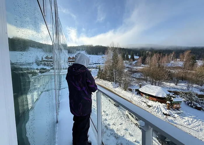 Fika Czarna Gora Apartman *